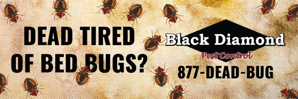 877DEADBUG Profile Banner