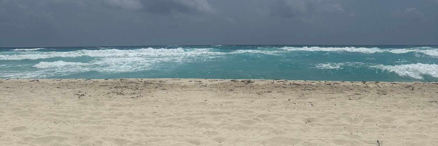 cobra commander banner