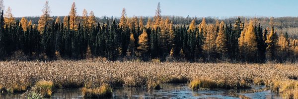 MsMapleBaxter Profile Banner