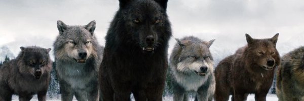 yarnell_aaron Profile Banner