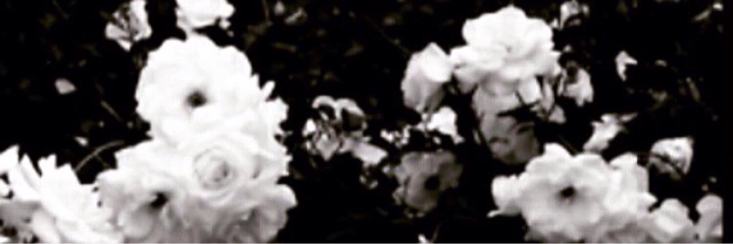 ☾ banner