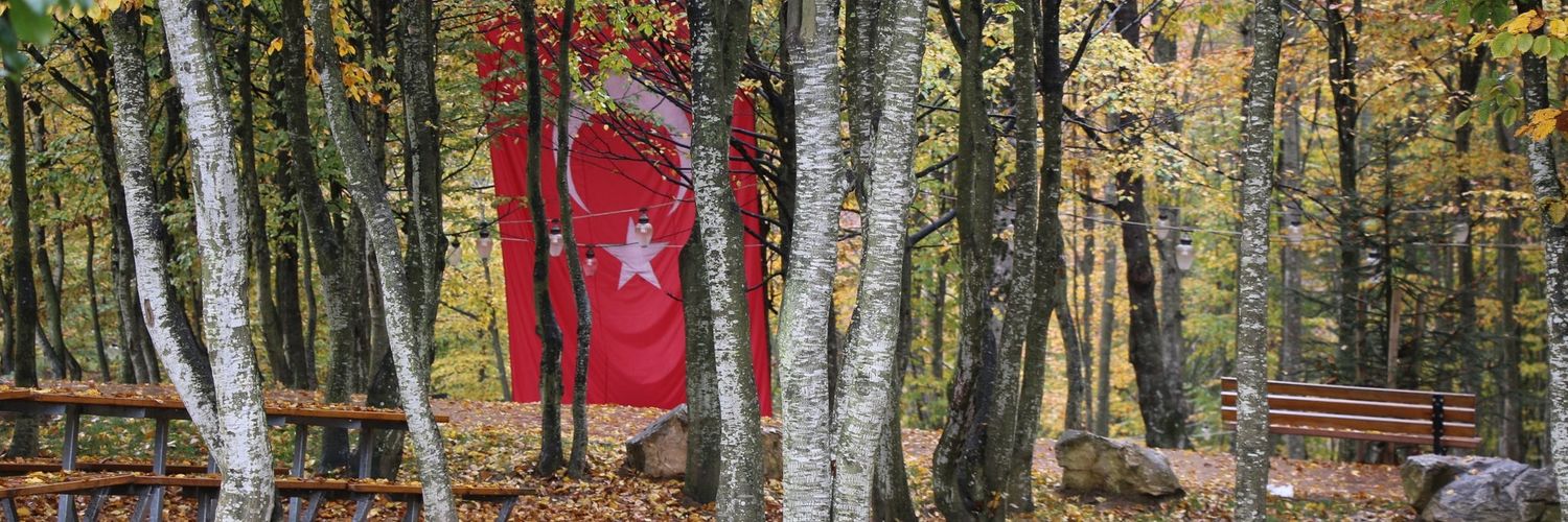 asmtcck's profile banner image
