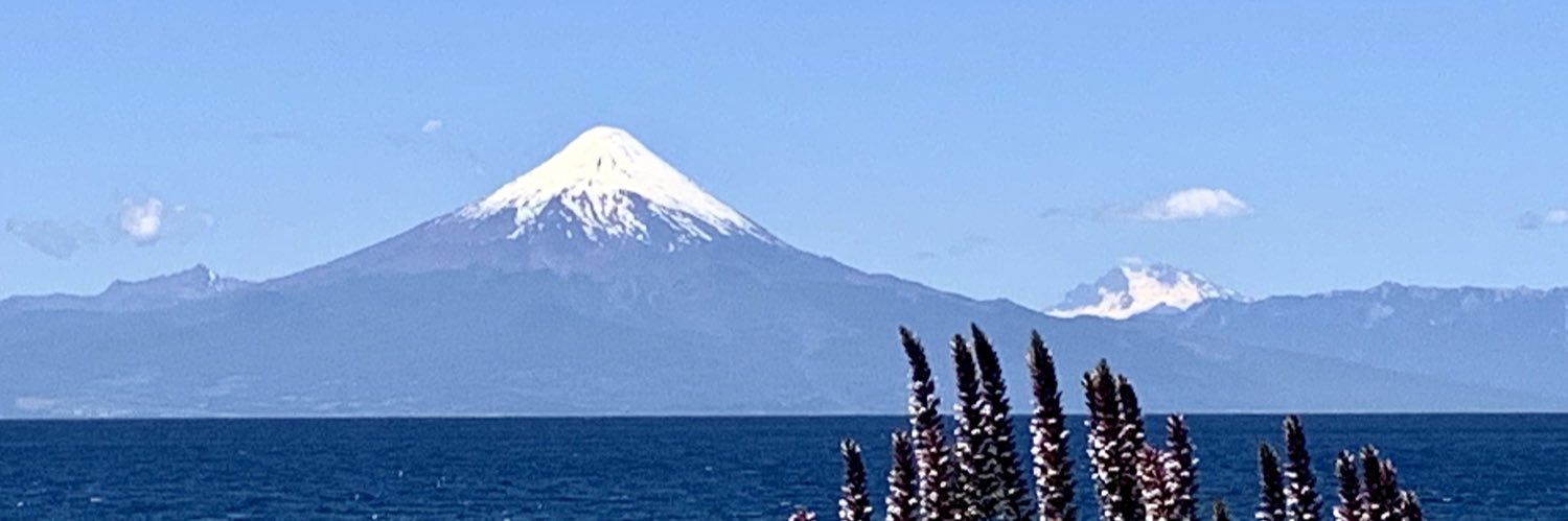 Rebeca Cenalmor banner