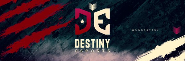 DeS_LATAM Profile Banner