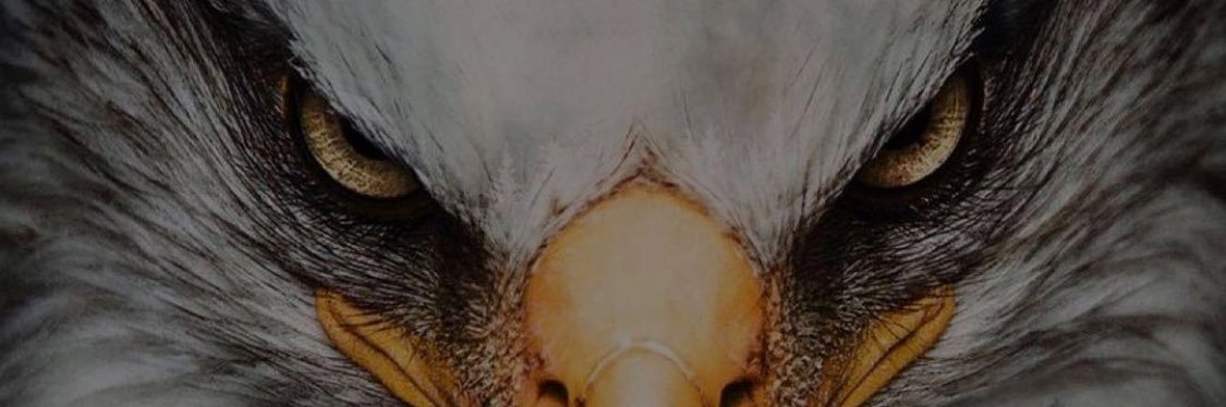 ericmorrow10's profile banner image