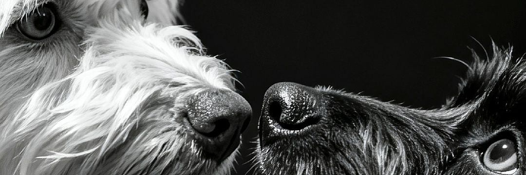 tamitabrc's profile banner image