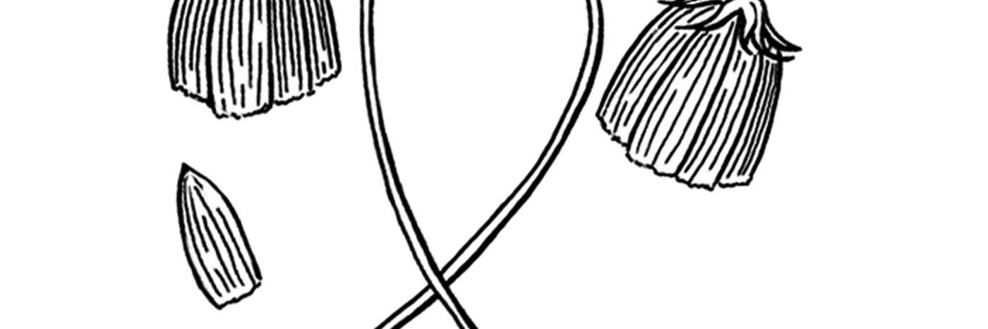 Dead Parents Podcast banner