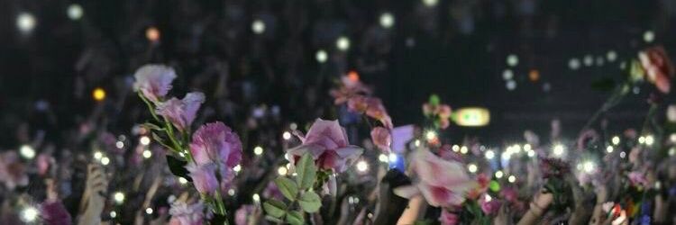 Mays1Dmeme's profile banner image