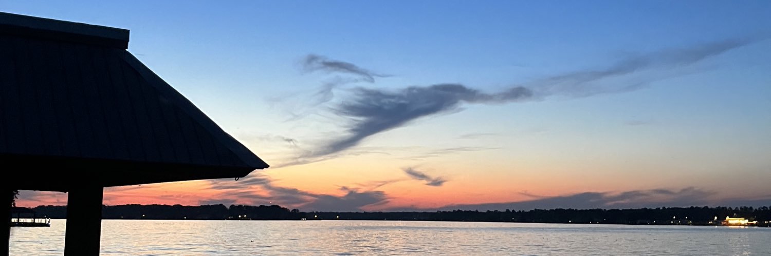 tylerbrautigam's banner