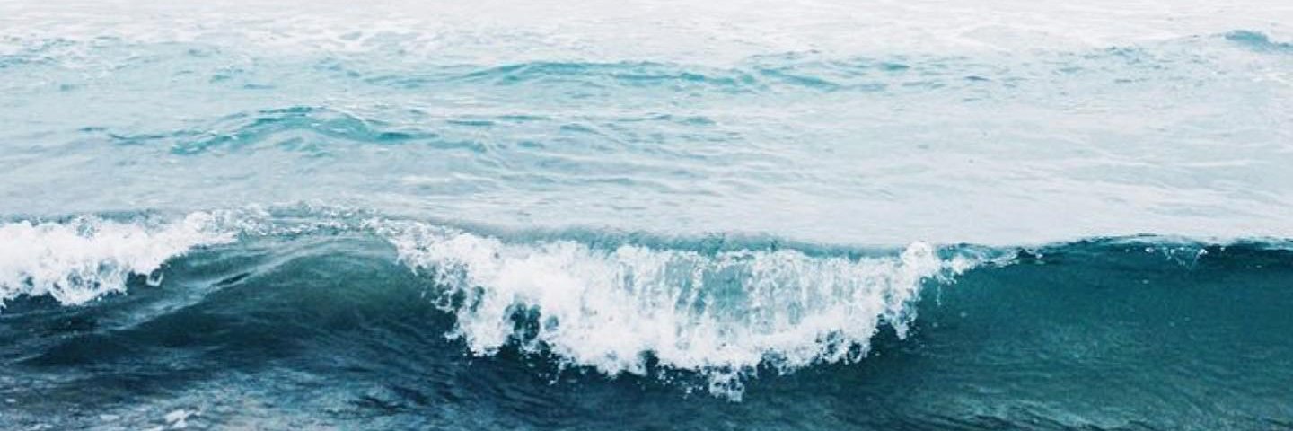 Rose_Taylor_99's profile banner image