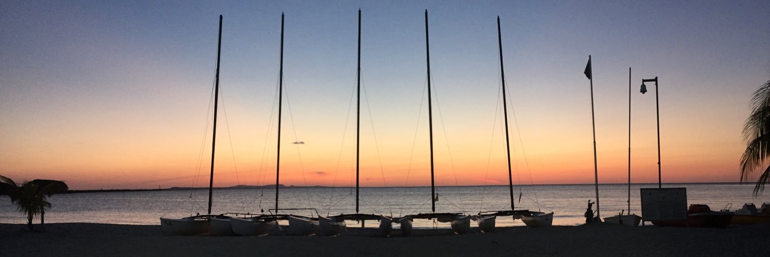 haleyehler's profile banner image