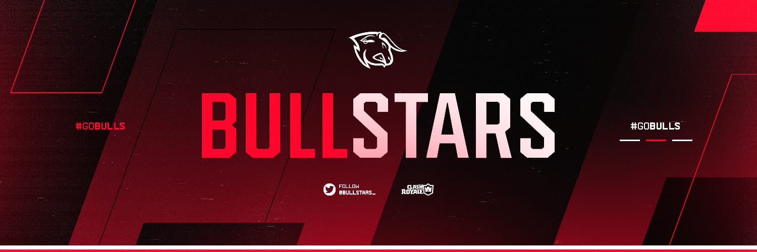 𝗕𝘂𝗹𝗹𝗦𝘁𝗮𝗿𝘀™ banner