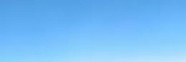 midoriblues Profile Banner