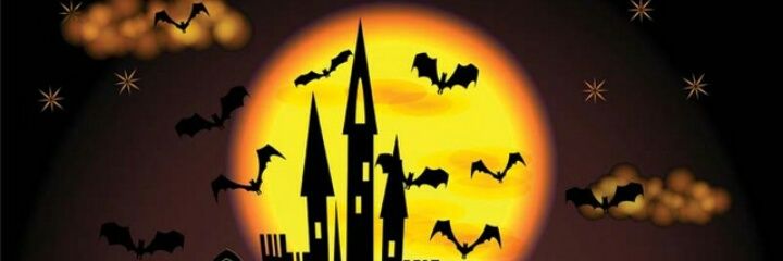 BONDARPELOTUD0's profile banner image