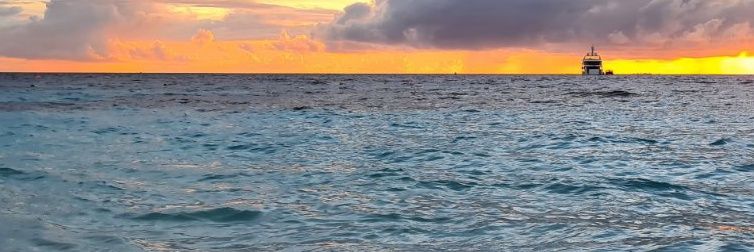 SovihaYa's profile banner image