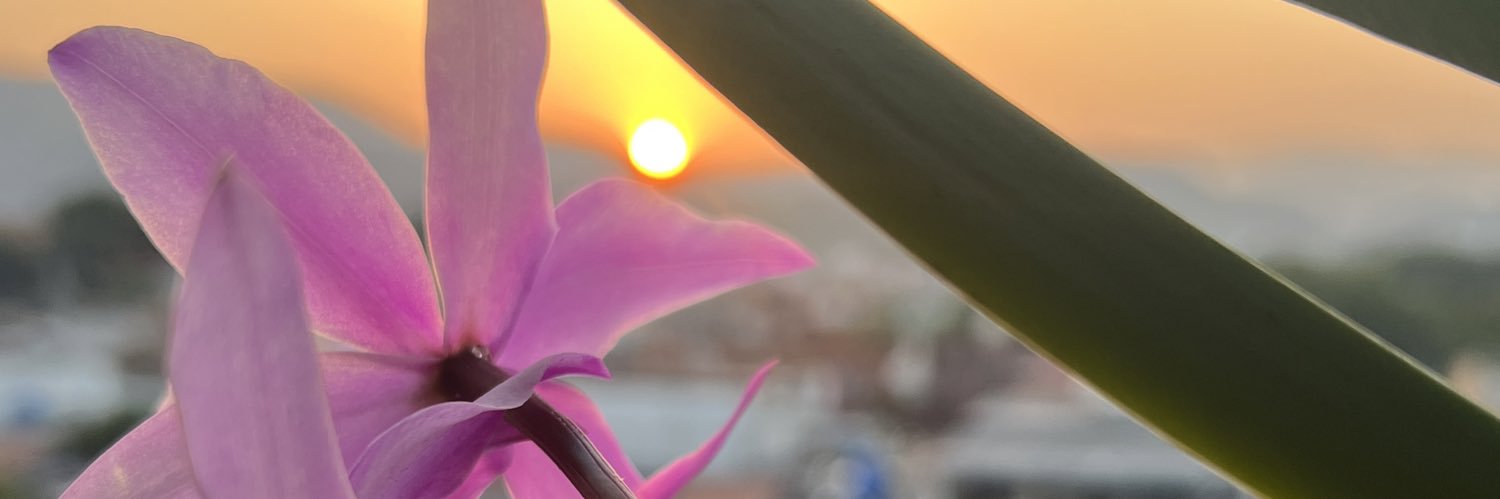 arnonegabriel's profile banner image