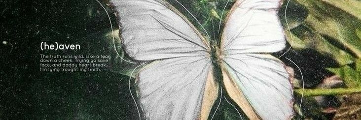 Anne banner