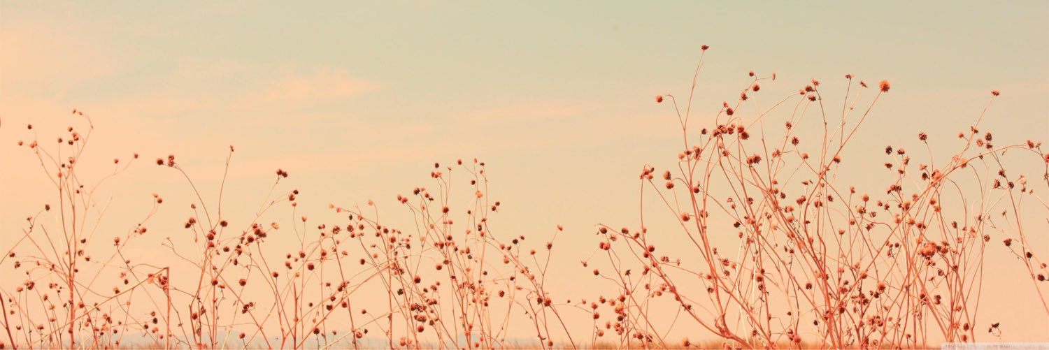 JOPHIELL's profile banner image