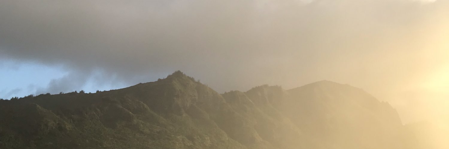 zoecharlucy's profile banner image