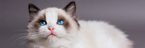 oliver_arellan's profile banner image