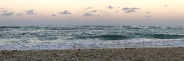 WernerLuke Profile Banner