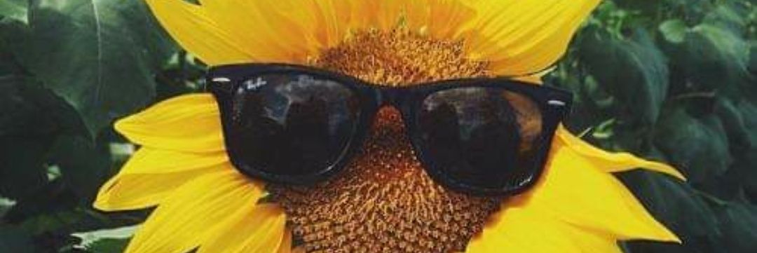 Goodvibesdcc's profile banner image