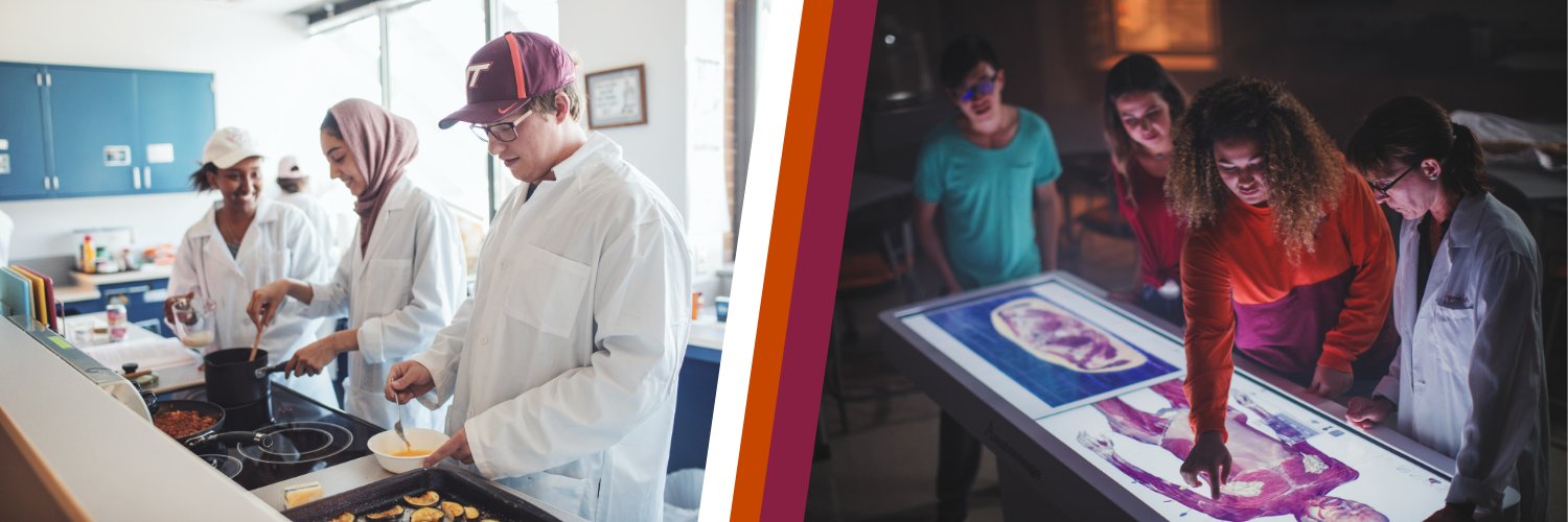 Virginia Tech HNFE banner