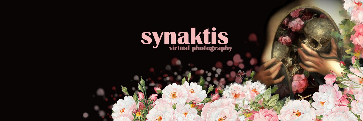 Lisa | Virtual Photography banner