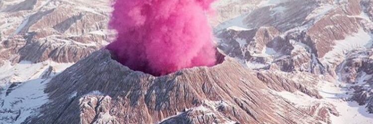lizardpigeon's profile banner image