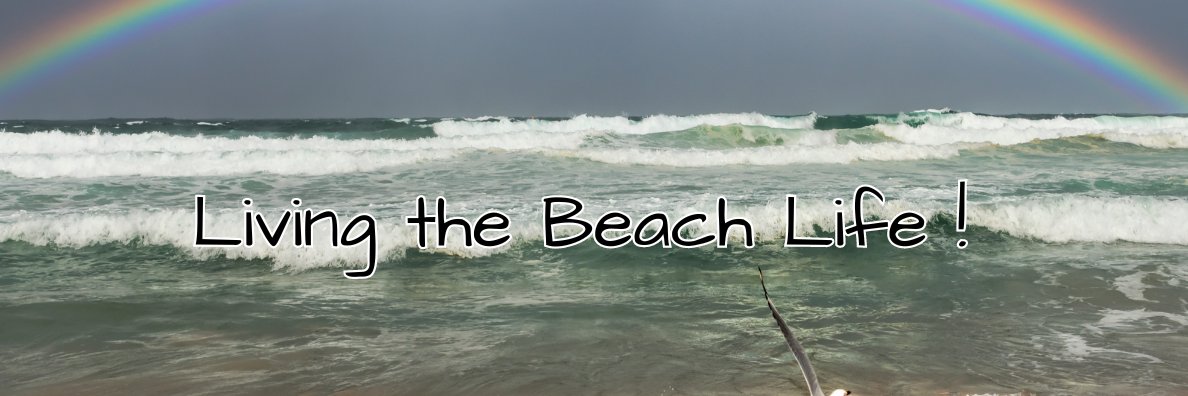 Dave_Hashley's profile banner image