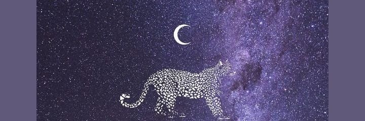 ivanafernandez's profile banner image