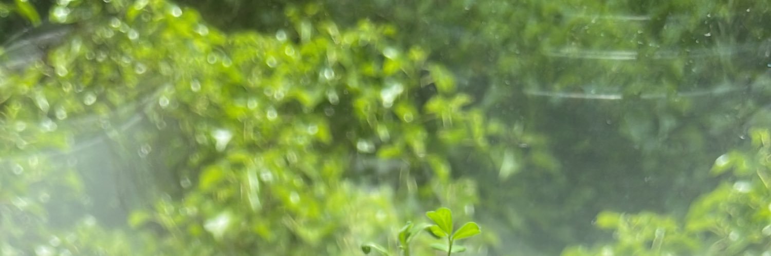 Parvathy Krishnan banner