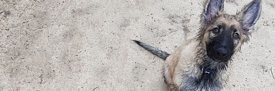 hellochlooo's profile banner image