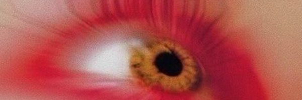thevincegray Profile Banner