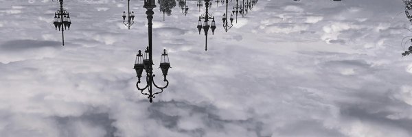 trizialv Profile Banner