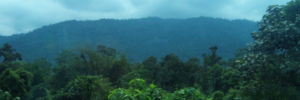BeaudrotLydia Profile Banner