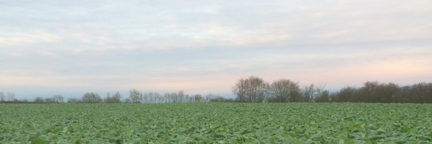 Greg_Outdoors's profile banner image