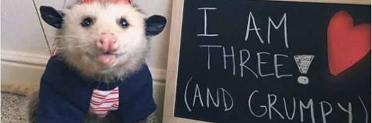 KathleenKinlin's profile banner image