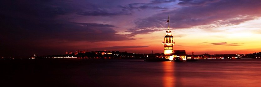 Turkey Pulse's banner