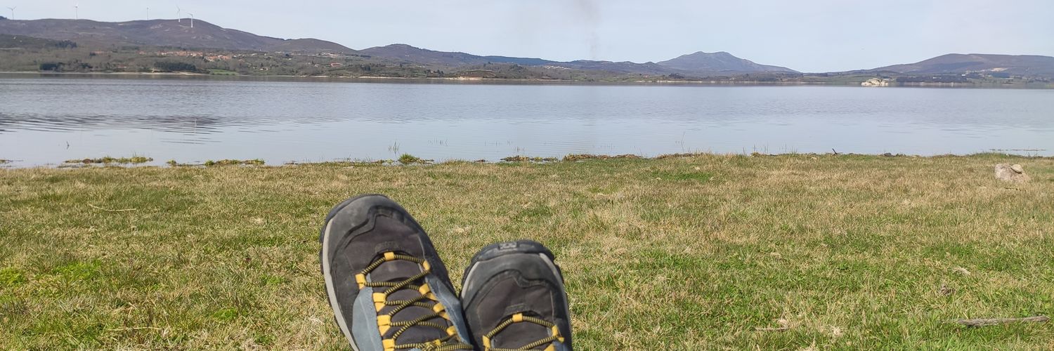 Paulo Henriques banner