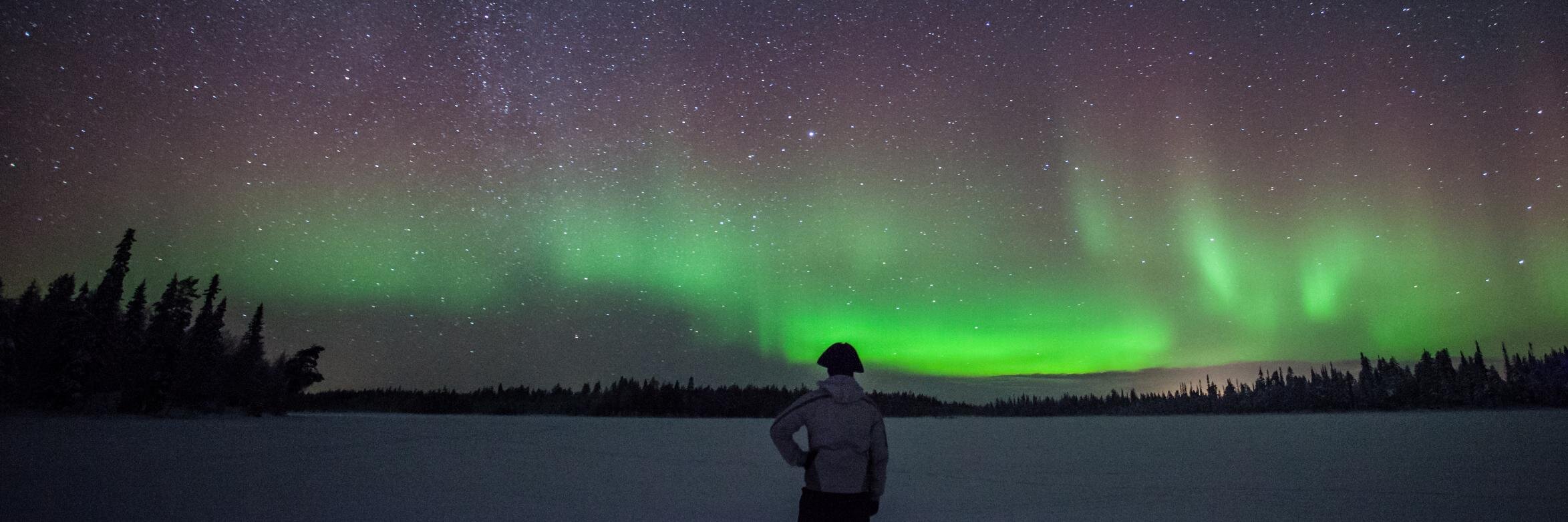 Lorenzo Colantoni banner