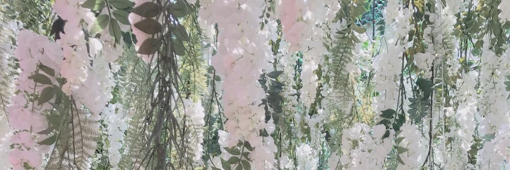 🌸 banner