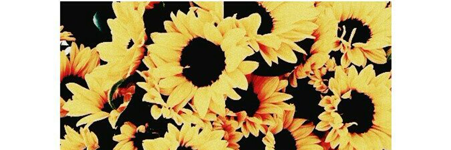 bellcza's profile banner image