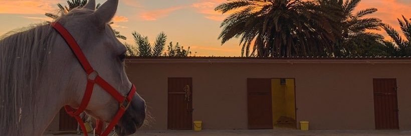 vib_303's profile banner image