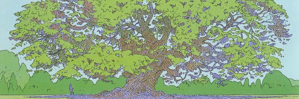 🌳 Olivier Pirson — OPi 🇧🇪🇫🇷🇬🇧 banner