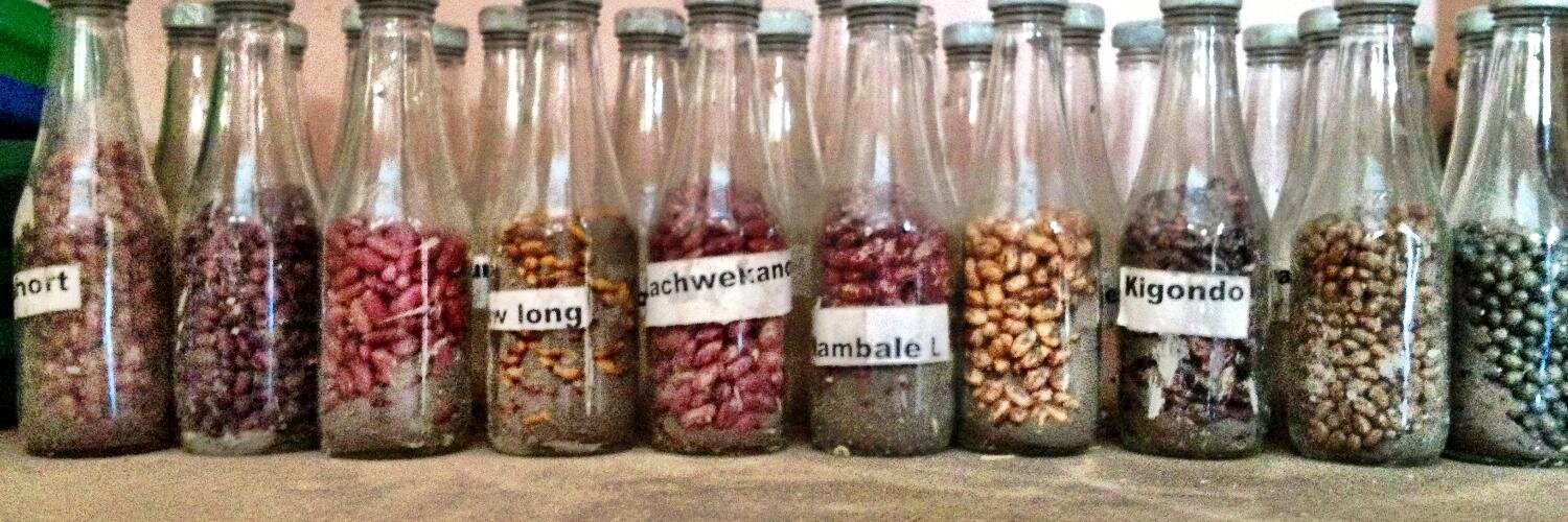 Seeds for Needs banner