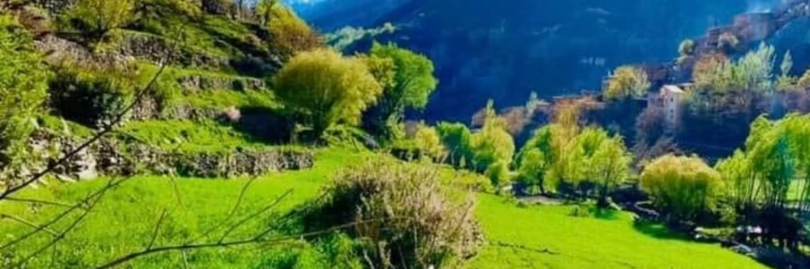 BareiDanish's profile banner image
