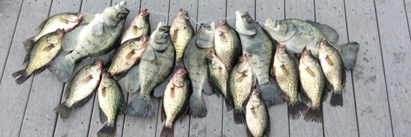 LTDGuide Profile Banner