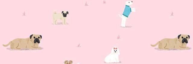 lilopit_'s profile banner image