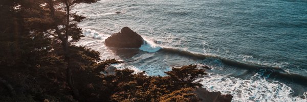 nxpatel Profile Banner